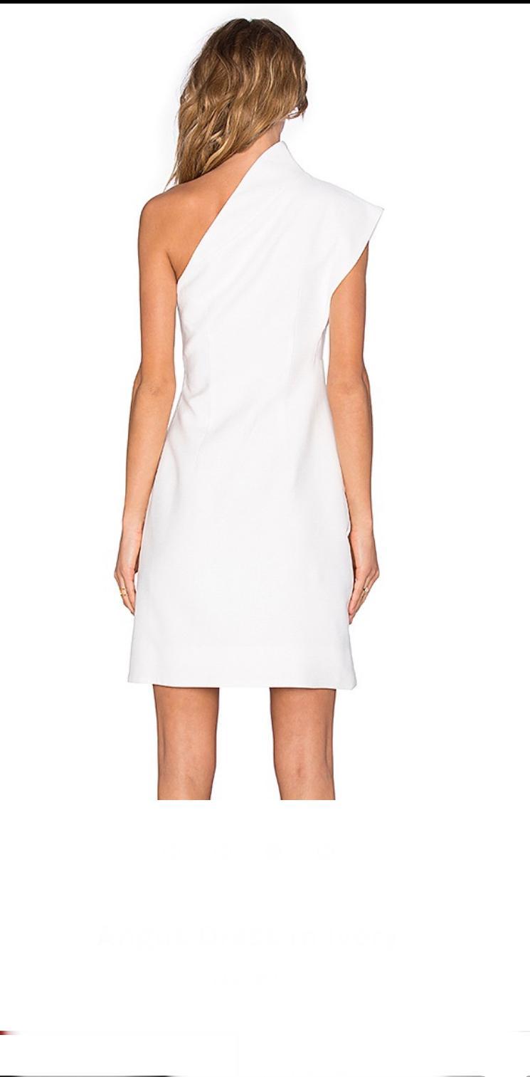 Acler Angus Dress in Ivory size 8 photo 3