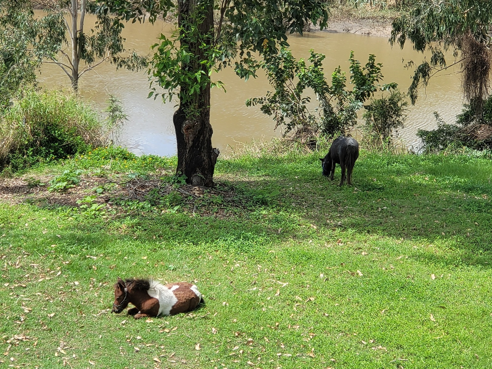 Logan River on site photo 7