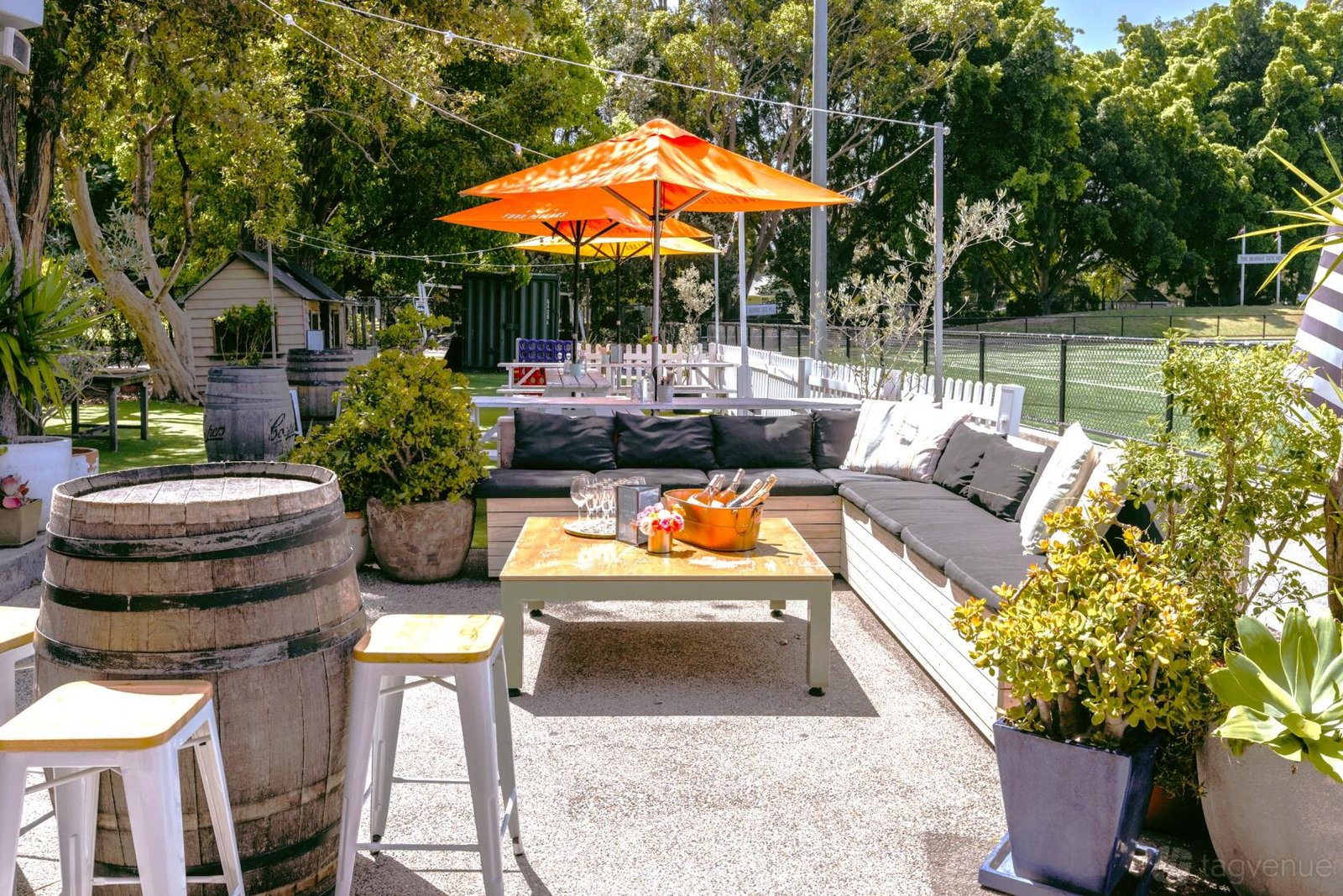 The Daybed at The Field Bar photo 2