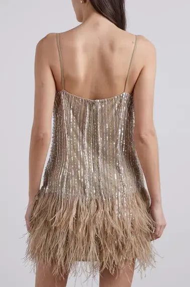 Rachel Gilbert Kenzi Mini Dress Nude Size 1 / AU 8 photo 6