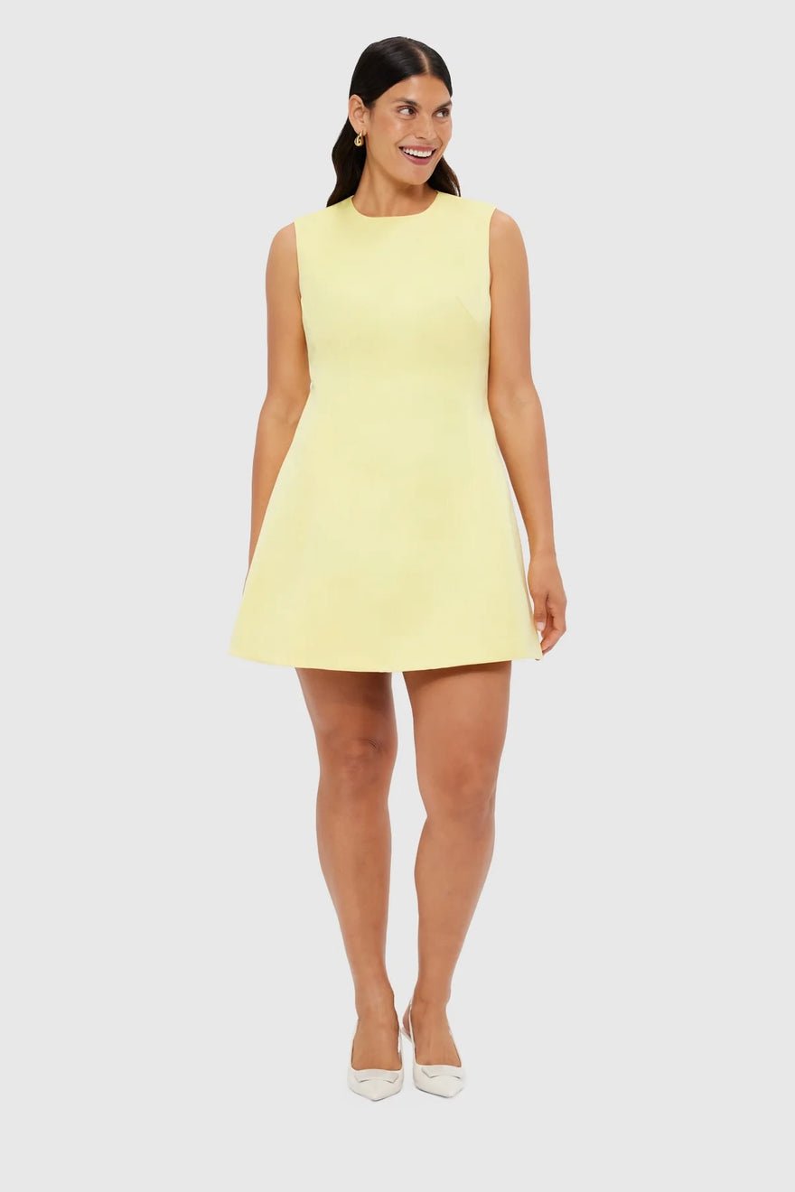 Leo Lin Chloe Sleeveless Mini Dress - Sorbet Yellow photo 2