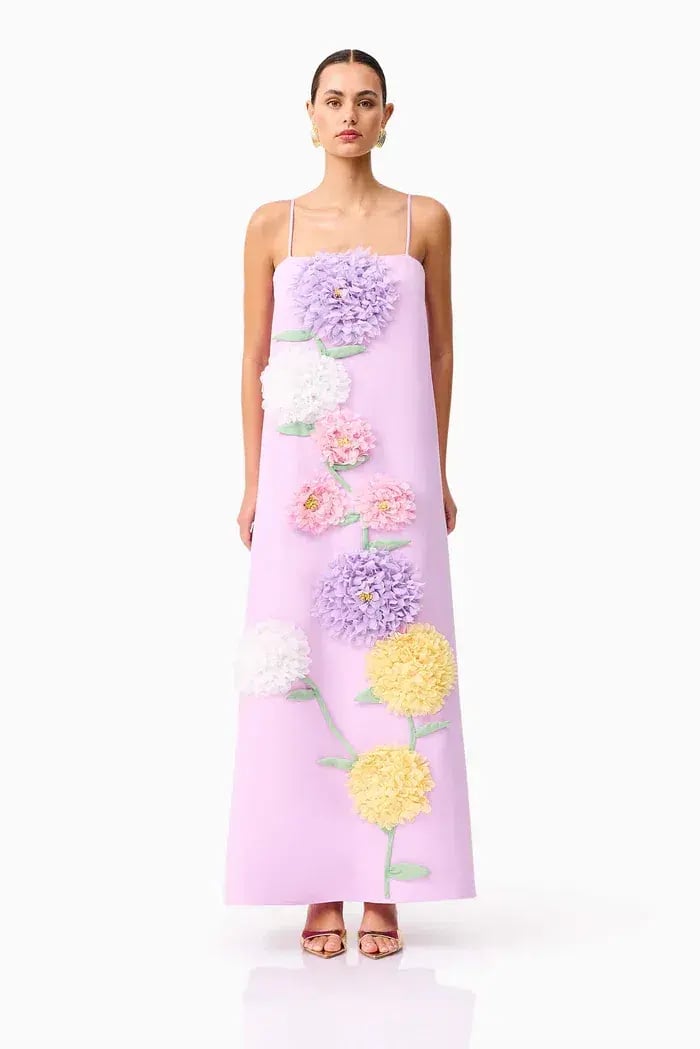 Elliatt Buttercup Embroidered Maxi Dress photo 2