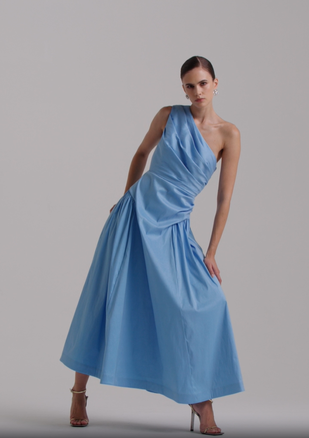 Rachel Gilbert Banksia Dress Blue photo 2