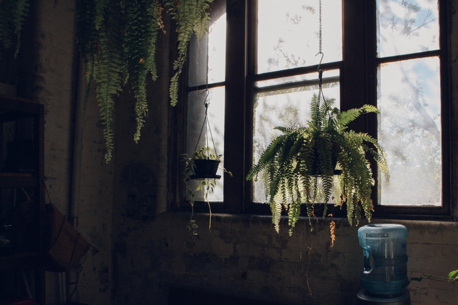 Studio217 photo 5