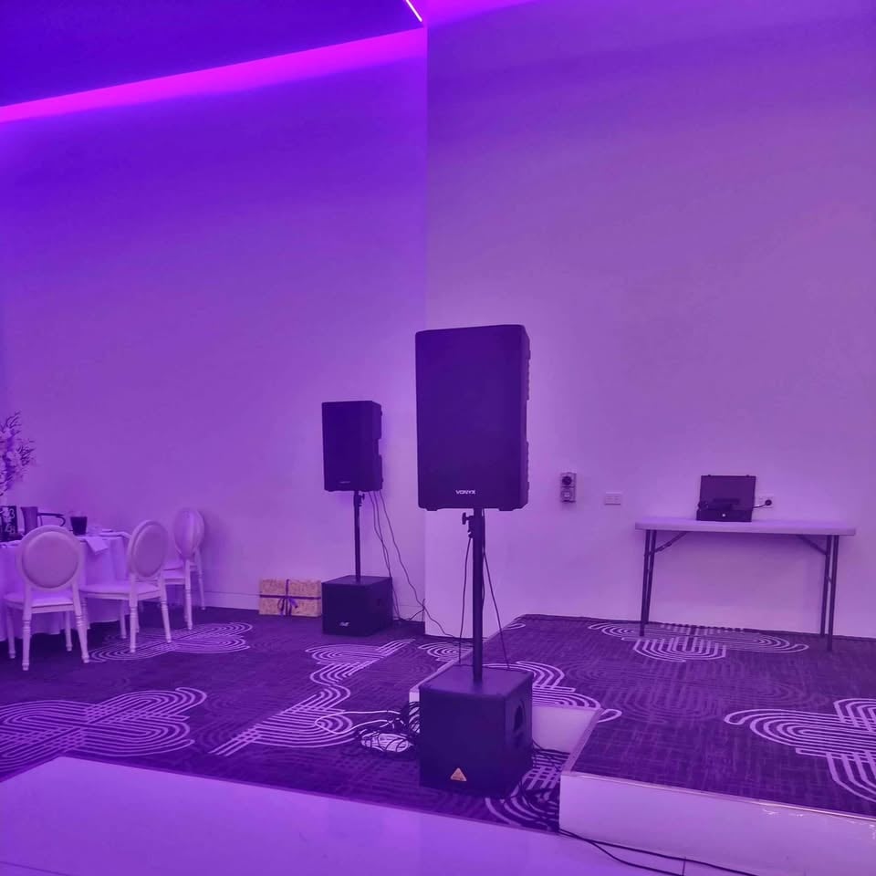 Full DJ system for hire, speakers,sub,light, fog machine, mic and more. photo 5