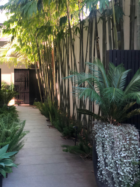 1920s House and Garden photo 8