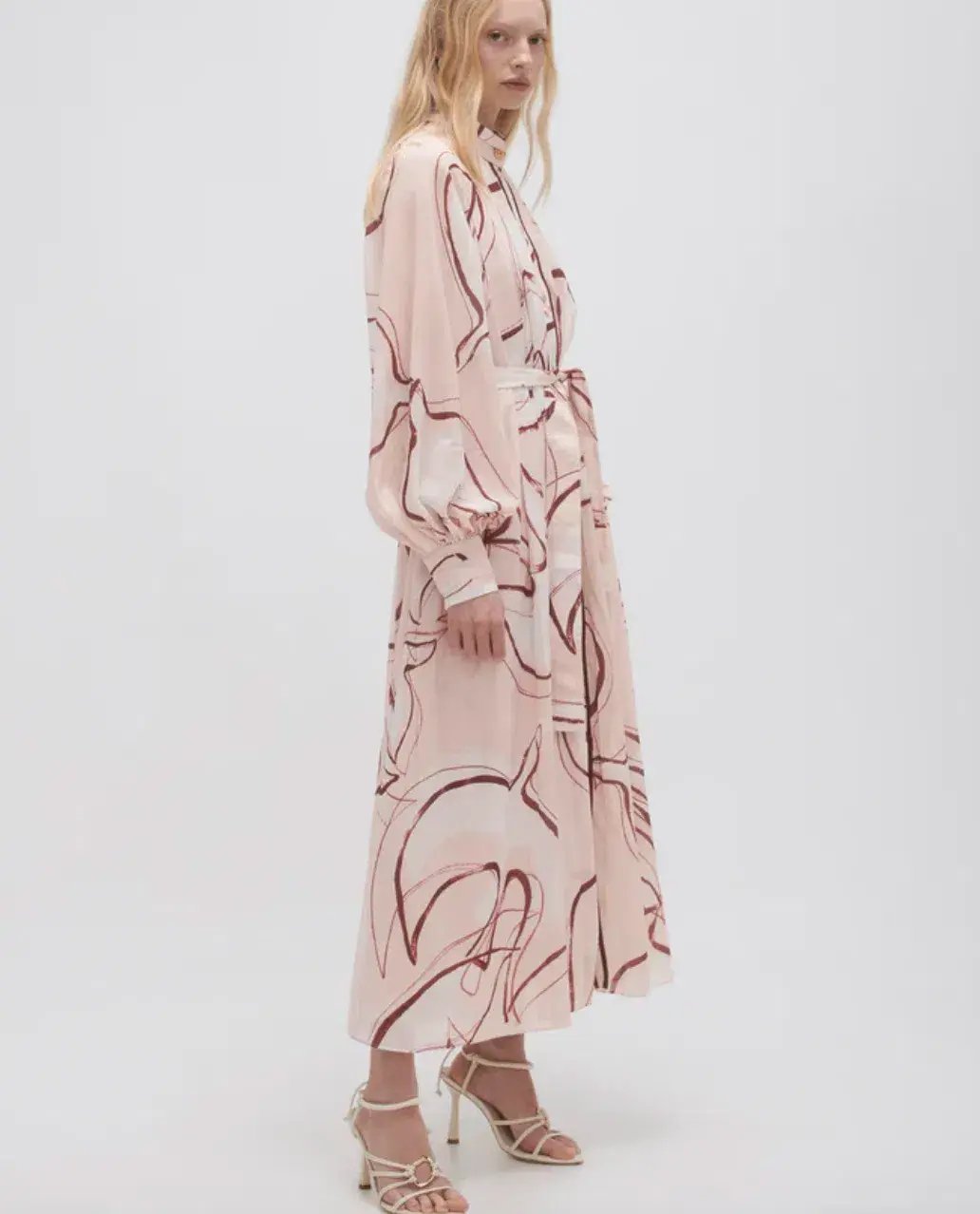 Aje Beatrice Pleated Midi Dress in Whimsical Dove Print Size S / AU 8 photo 2