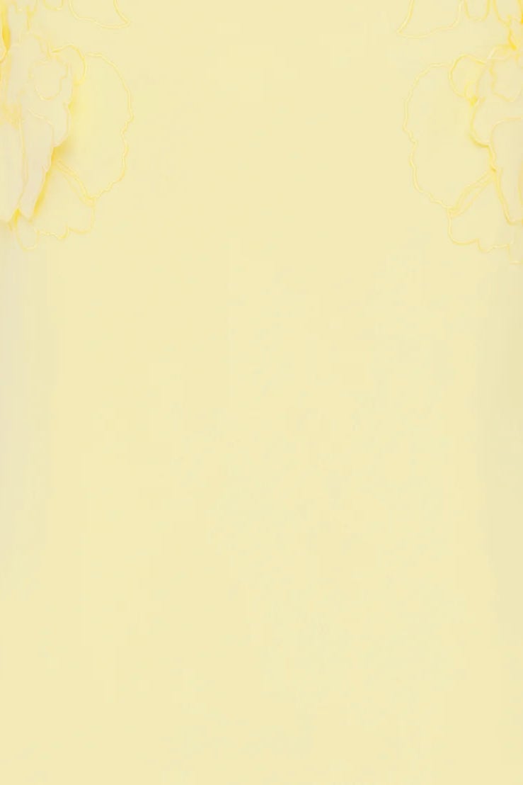 LEO LIN SOLENE APPLIQUÉ MAXI DRESS - SORBET YELLOW photo 7