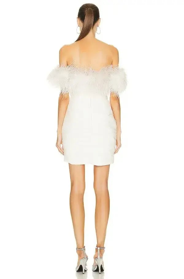 Rachel Gilbert Zion Mini Dress Ivory Size 3 / AU 12 photo 3