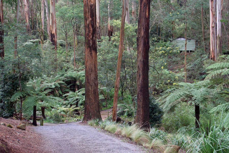 Fernglen Forrest Retreat photo 2