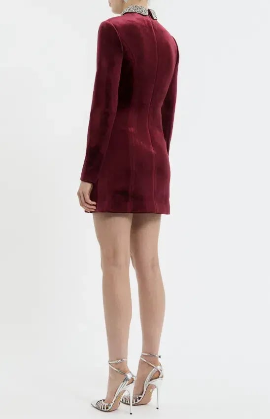 Rebecca Vallance Edwiena Long Sleeve Mini Dress Size 6 photo 2