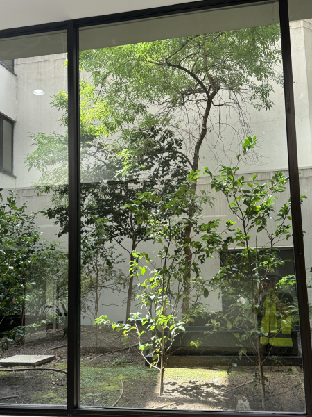 Office 3 - Collins Street Studios photo 11