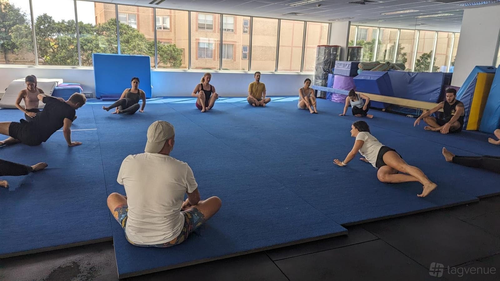 Flying Yogis Bondi Junction at Flying Yogis Annandale photo 8
