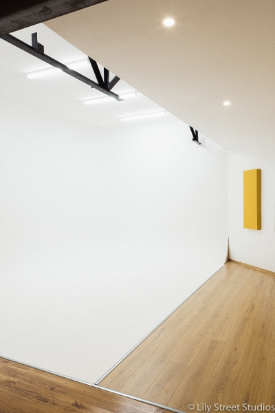 Photography Studio Cyc || Lily Street Studios photo 3