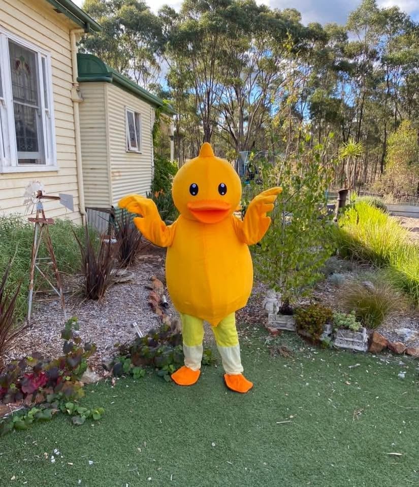 Mascot costumes for Hire/sale photo 11
