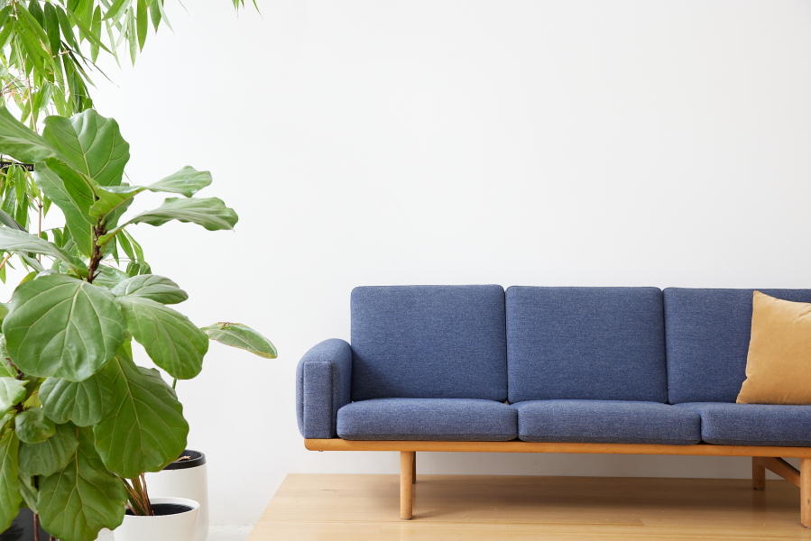 Northspace - share studio photo 4