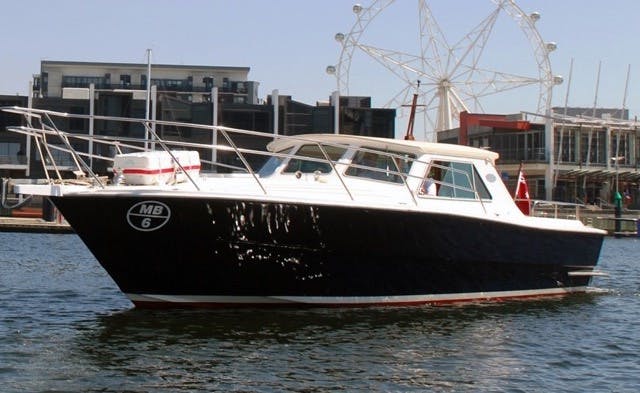 MV Salute photo 4