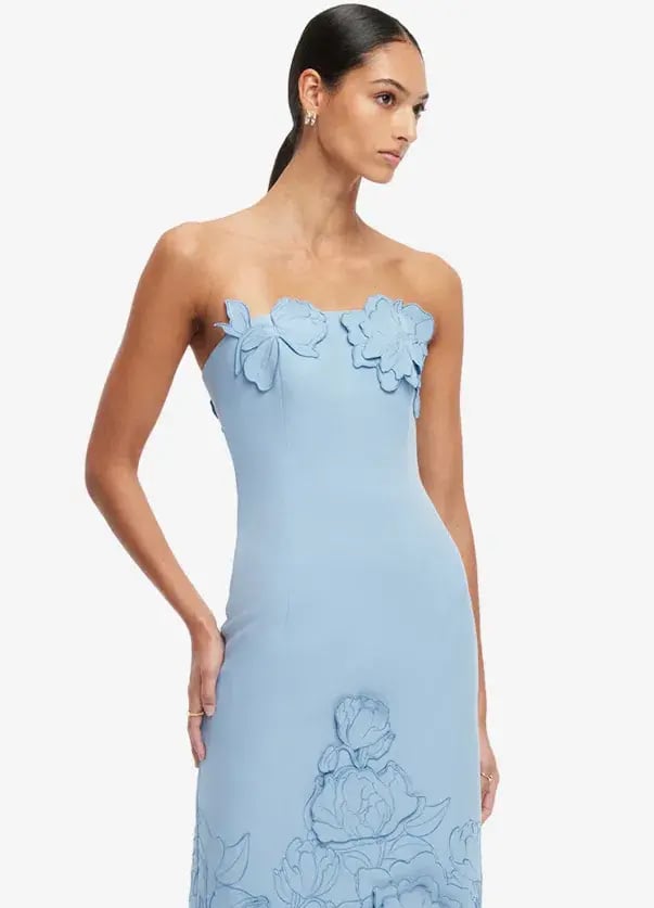 Leo Lin Rayna Appliqué Bustier Maxi Dress Light Blue - Size 12 photo 2