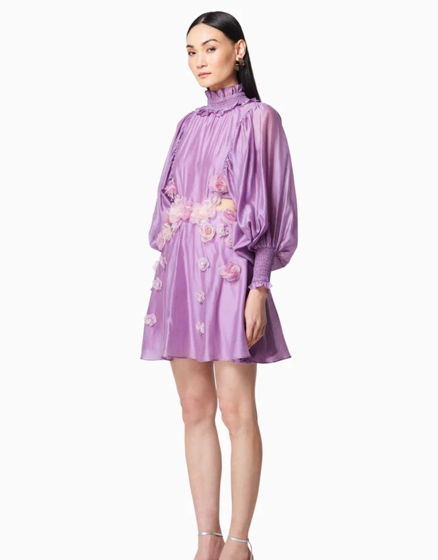 Elliatt Barcelona Dress photo 4
