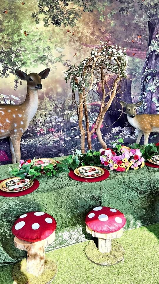 Party Hire Packages photo 2