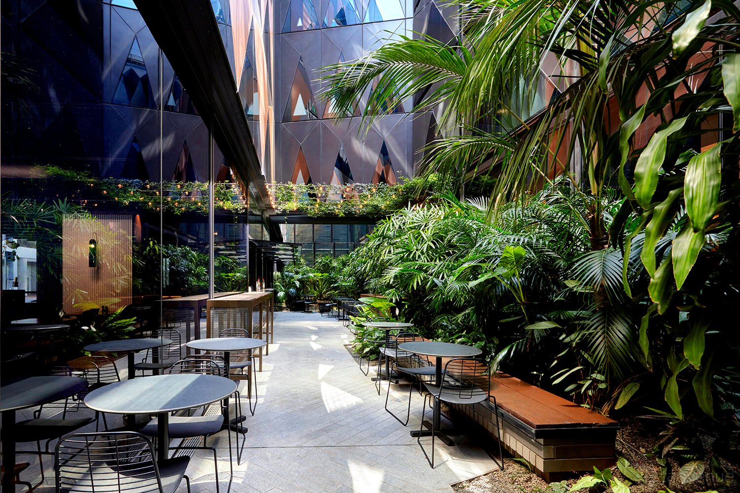 Solander + Atrium at West Hotel Sydney, Curio Collection by Hilton photo 4