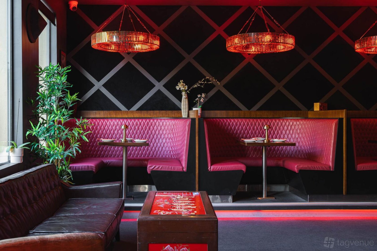 Entire Venue at Lucky Cat, Dumpling Bar & Lounge photo 3