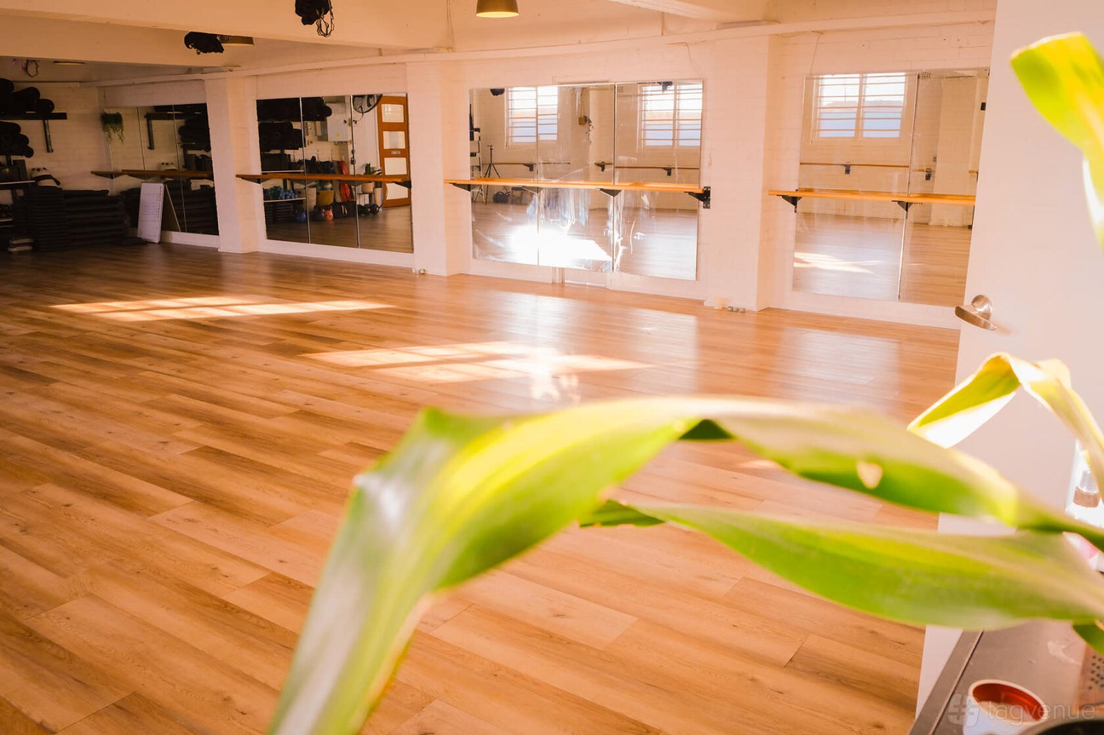 Entire Studio + Lounge at Luxe Yoga & Fitness photo 9