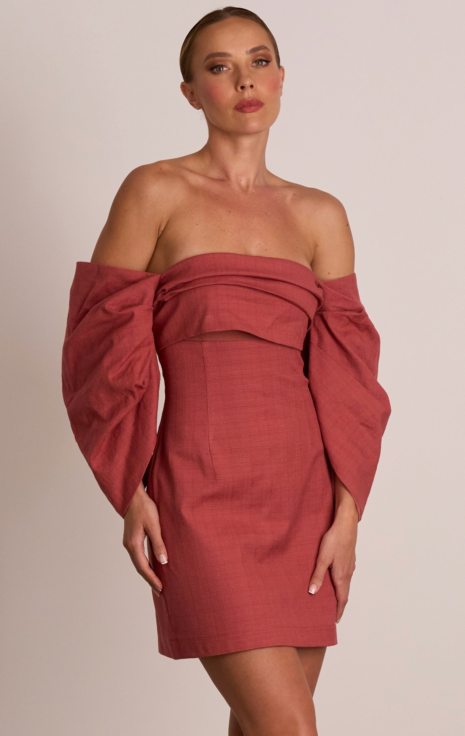 PASDUCHAS PLATINUM PARTY DRESS - ROSEWOOD photo 4