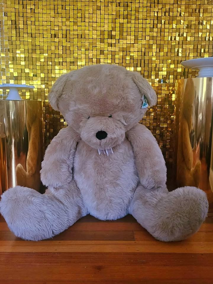 Event Hire - Giant Teddy Bear Baby Shower, Birthday, Gender Reveal photo 3