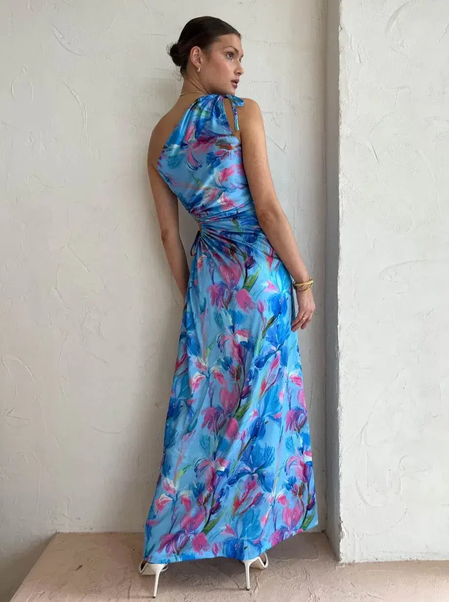 Sonya Nour Maxi Dress In Zuri Print Size 10 photo 4