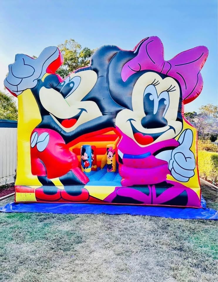 Jumping Castles and Party Hire photo 8