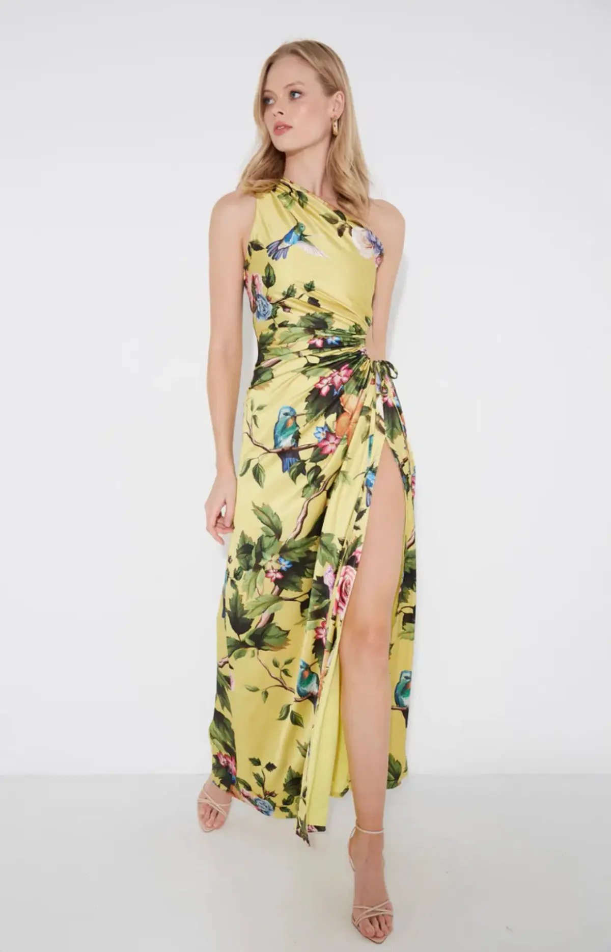 Sonya Moda Nour Royal Botanic Maxi Dress Print Size 8 photo 3