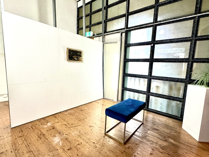 Fitzroy Public Gallery - Big, bright, open space. photo 5