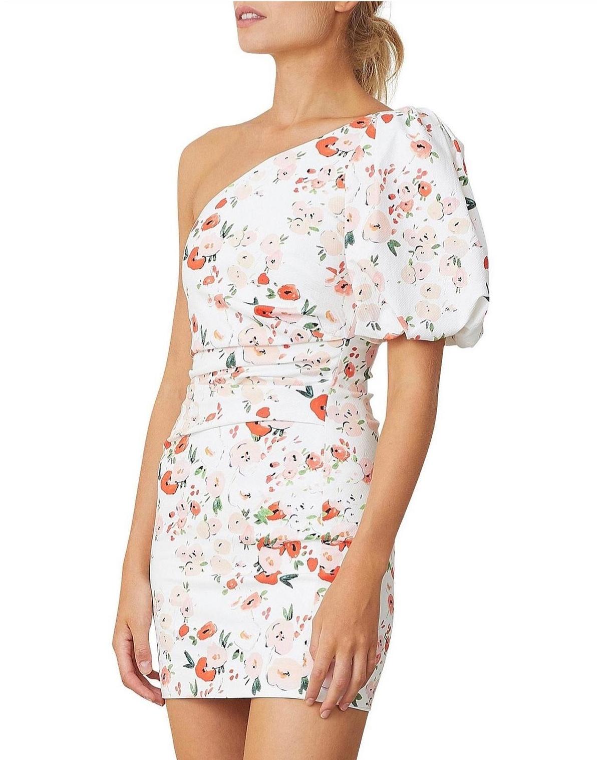 Bec & Bridge Garden Party mini dress, size 10 photo 2