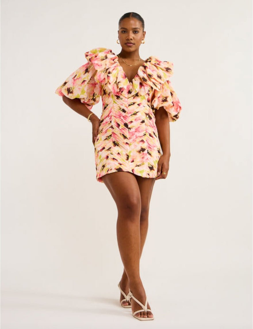 Acler Argentine Mini Dress photo 2