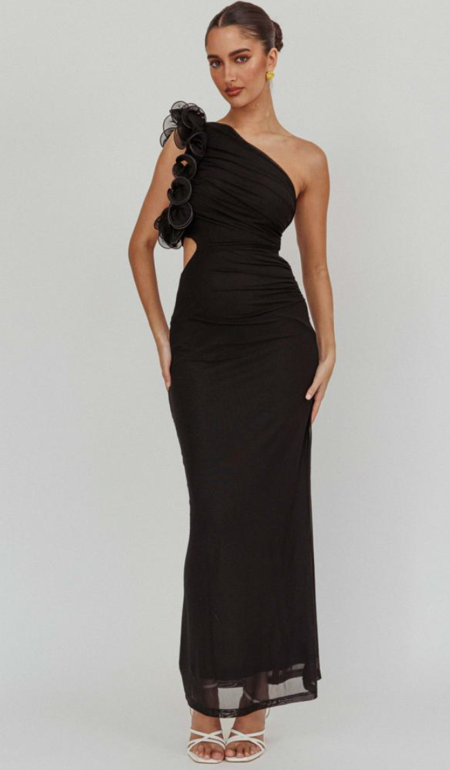 RAINA MESH MAXI DRESS BLACK photo 3
