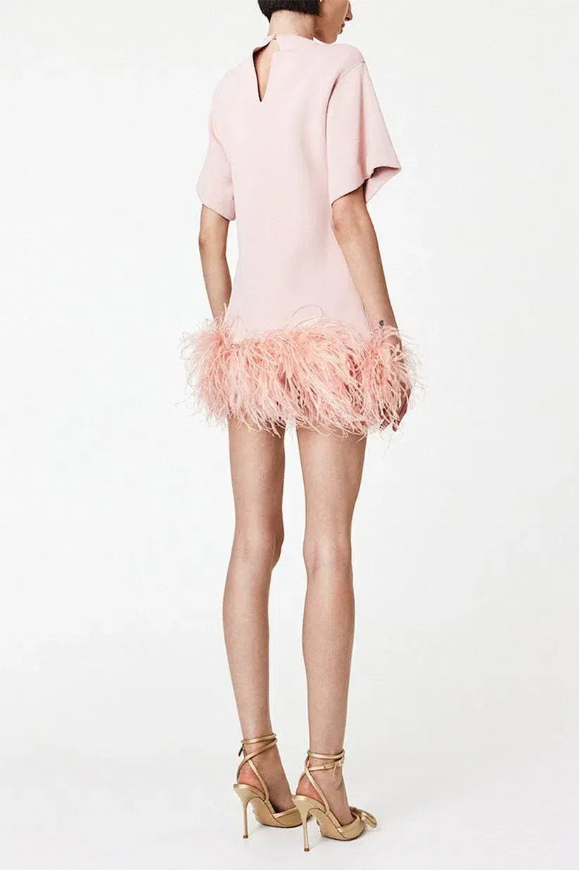 Rachel Gilbert Rita Mini Pink Size S / Size AU10 photo 3