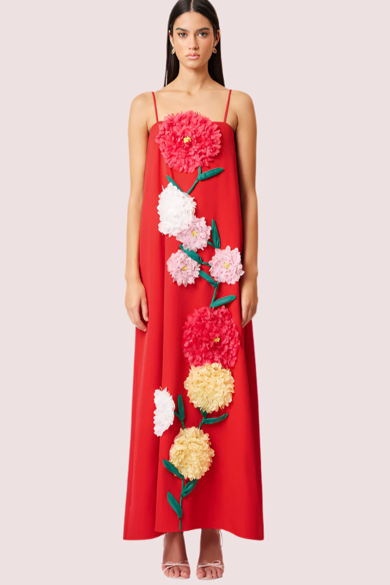Elliatt Buttercup Embroided Dress Red photo 2