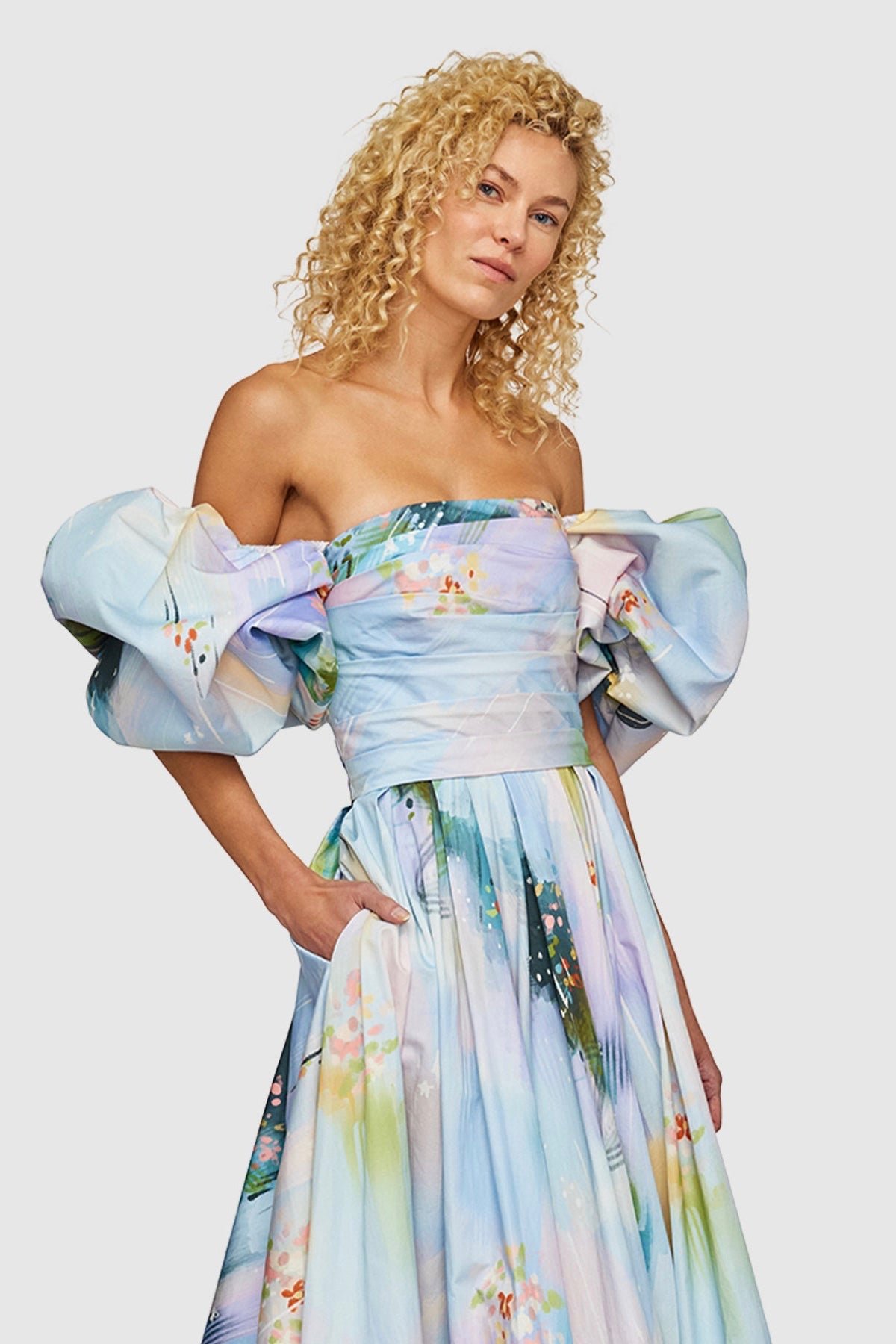 LEO LIN MATILDA PUFF SLEEVE MIDI DRESS - WILLOW PRINT photo 6