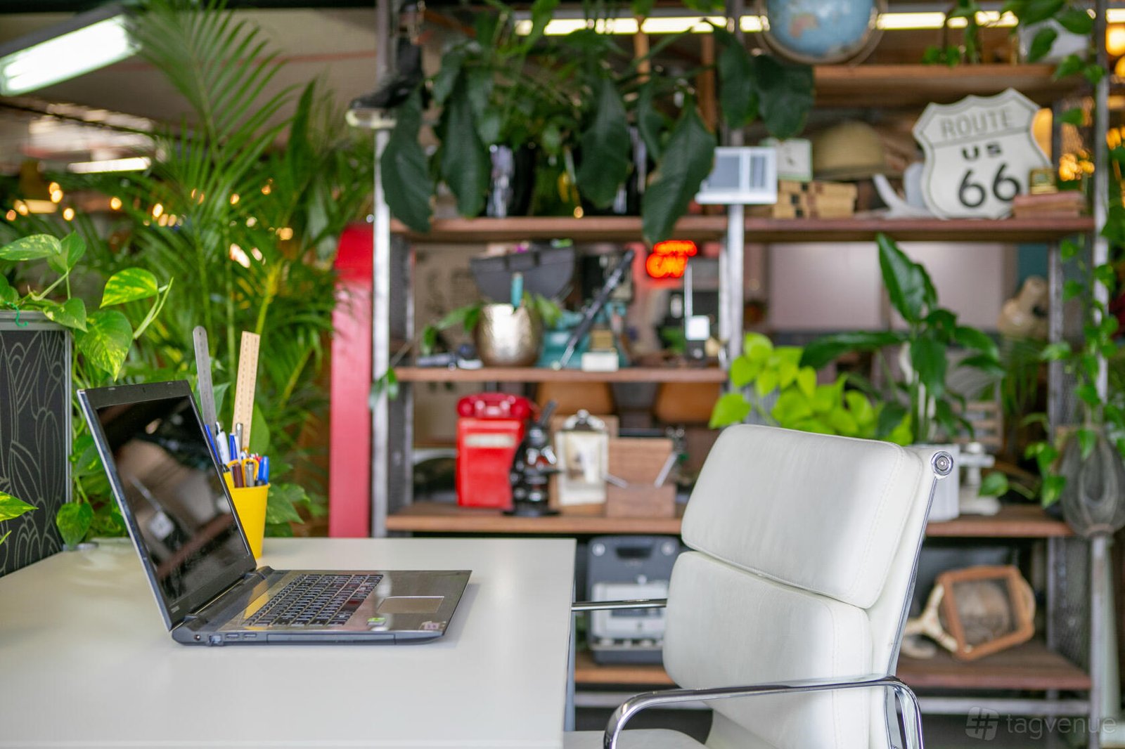 Havana Room at Co Working Hub photo 5