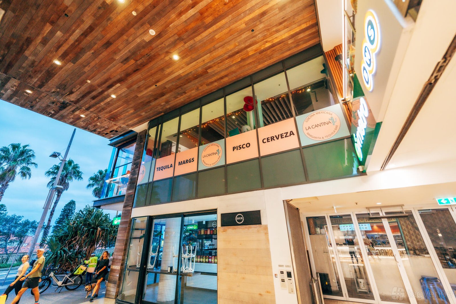 Whole Venue at La Cantina Bondi photo 15