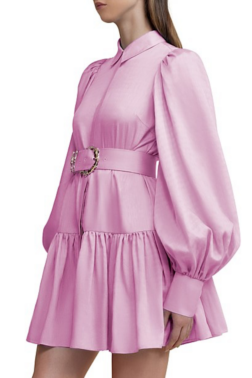 Acler Sherwood Mini In Light Pink photo 4