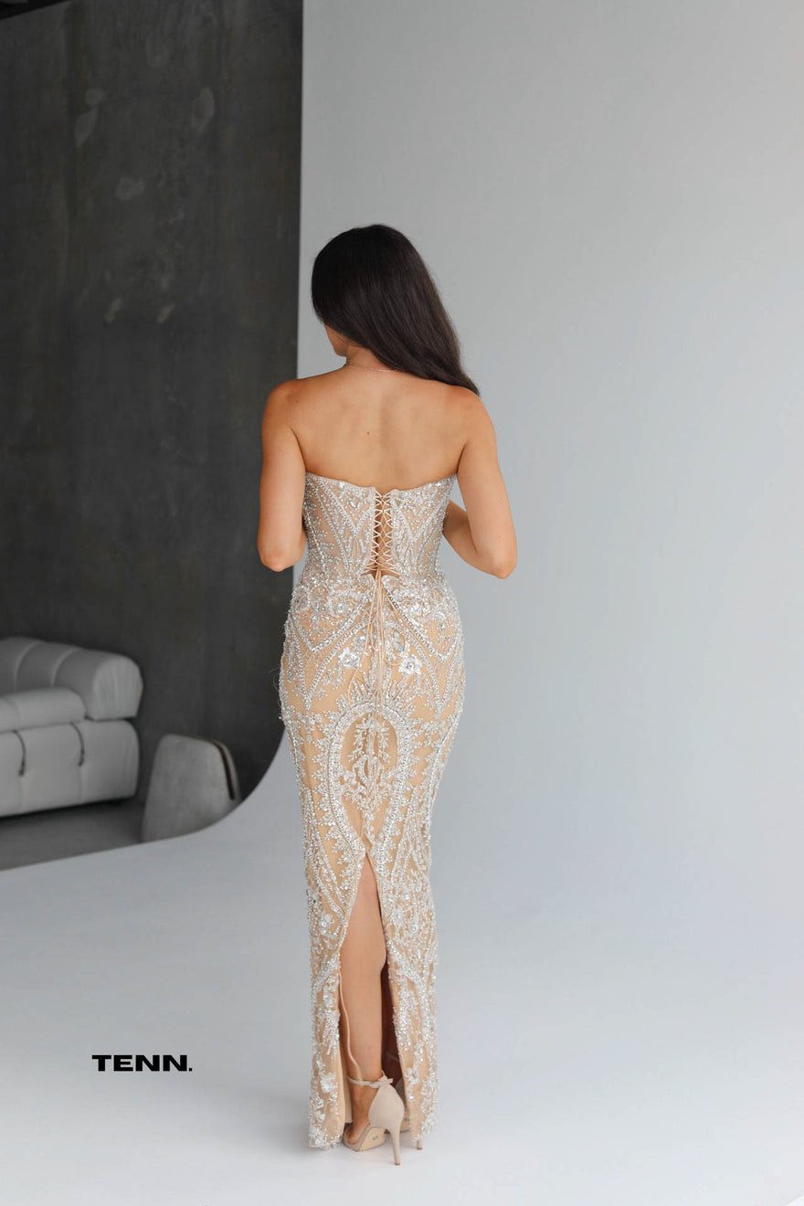 Albina Dyla Treasure Gown (Corset Silver Dress) photo 3
