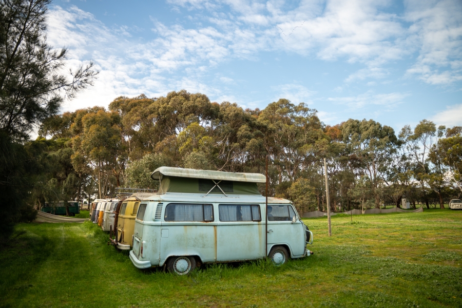 The Kombi Farm photo 2