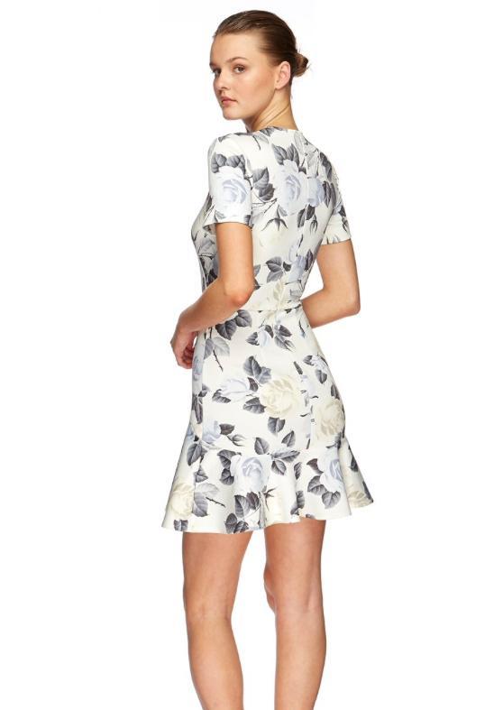 Lover Rosa Flip Mini Dress Print Size 6 photo 2