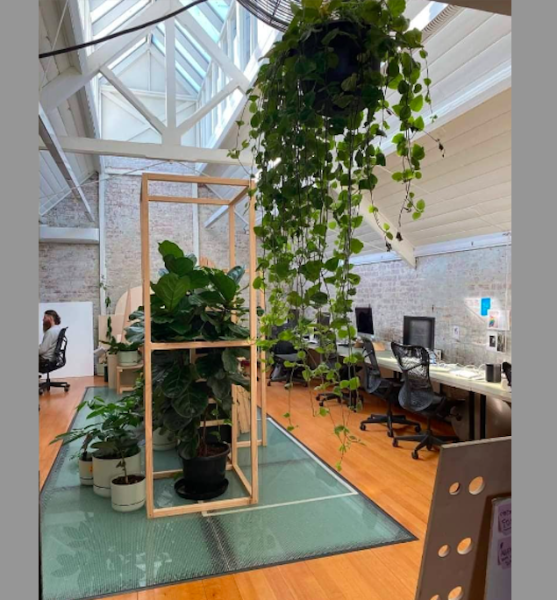 Office-share in plant-filled studio photo 3