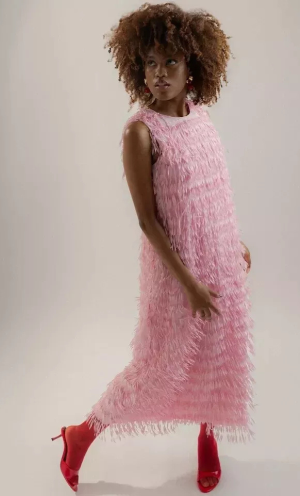 Zara Midi Fringe Dress photo 3