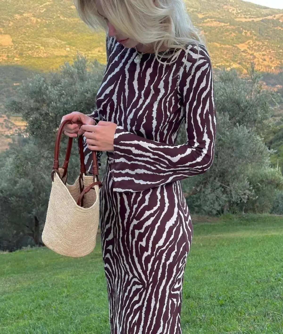 Realisation Par The Gia Dress in Animal Print Size Small / AU 8 photo 5