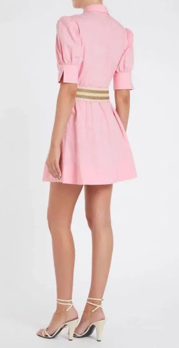 Rebecca Vallance Sommer Mini Dress Pink Size 10 photo 3