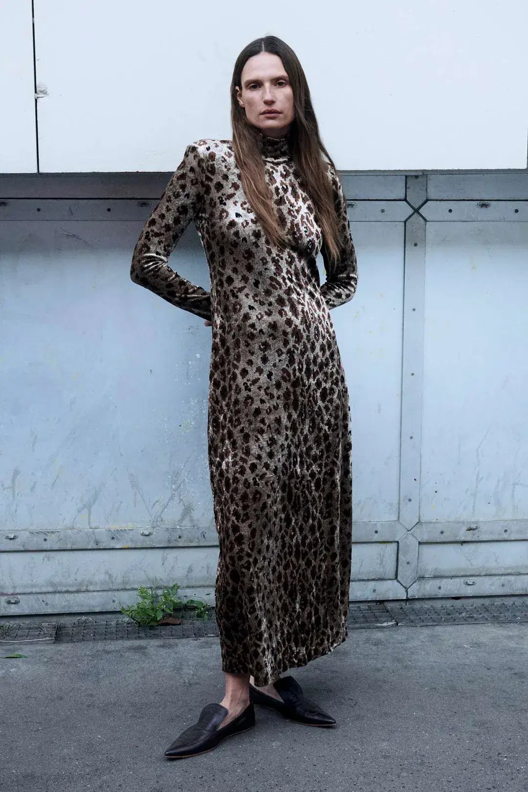 Camilla and Marc Basie Dress Print Size 14 photo 4